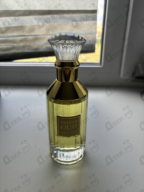 Купить Velvet Oud от Lattafa Perfumes