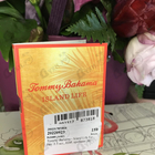 Духи Island Life от Tommy Bahama