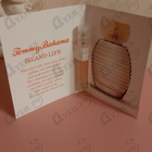 Отзывы Tommy Bahama Island Life