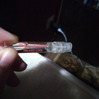 Духи Island Life от Tommy Bahama