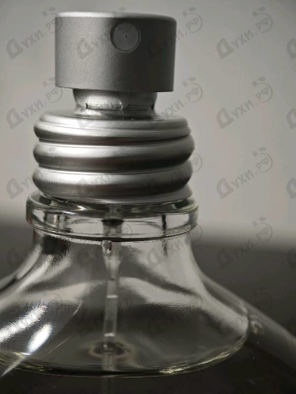 Отзывы Calvin Klein CK Everyone