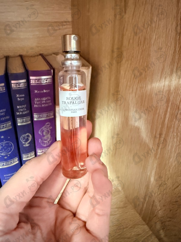 Купить Rouge Trafalgar от Christian Dior