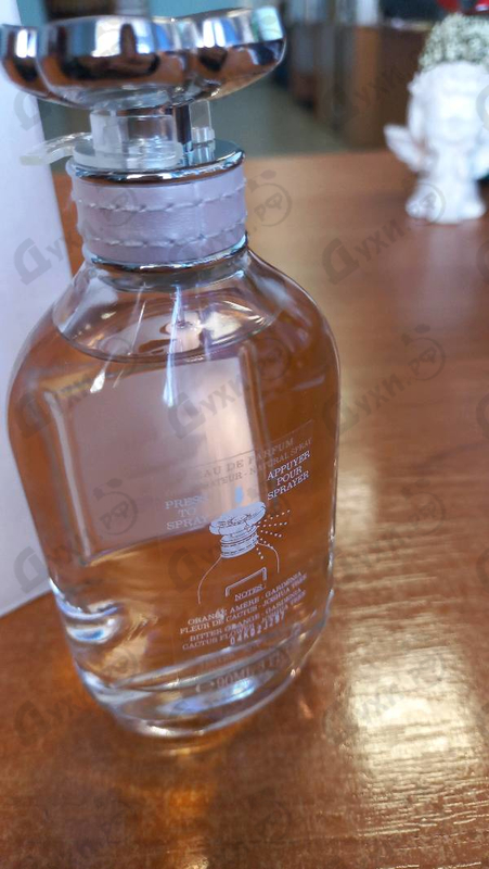 Купить Dreams от Coach