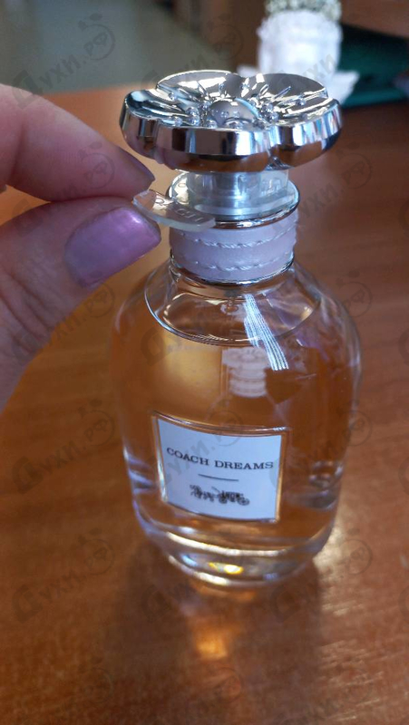 Купить Dreams от Coach