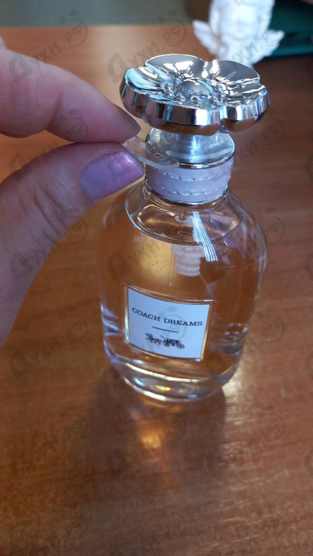 Парфюмерия Dreams от Coach