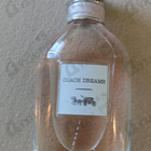 Отзыв Coach Dreams