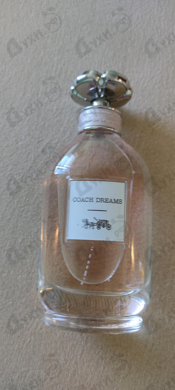 Купить Coach Dreams