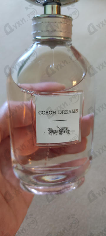 Парфюмерия Dreams от Coach