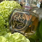 Парфюм Elie Saab Le Parfum Essentiel