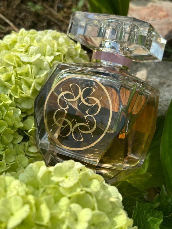 Купить Le Parfum Essentiel от Elie Saab