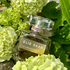 Духи Le Parfum Essentiel от Elie Saab