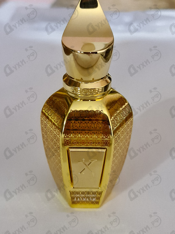 Отзыв Xerjoff Luxor Купить Luxor от Xerjoff