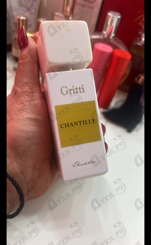 Купить Gritti Chantilly