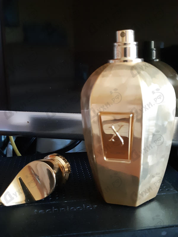 Отзывы Xerjoff Accento Overdose Духи Accento Overdose от Xerjoff