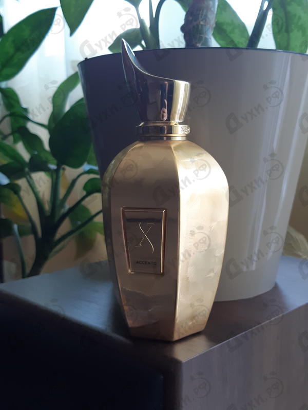 Купить Xerjoff Accento Overdose Духи Accento Overdose от Xerjoff