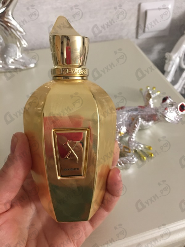 Отзывы Xerjoff Accento Overdose