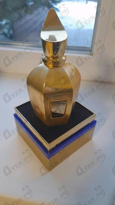 Духи Accento Overdose от Xerjoff Отзыв Xerjoff Accento Overdose