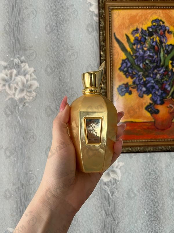 Парфюмерия Xerjoff Accento Overdose Парфюмерия Accento Overdose от Xerjoff