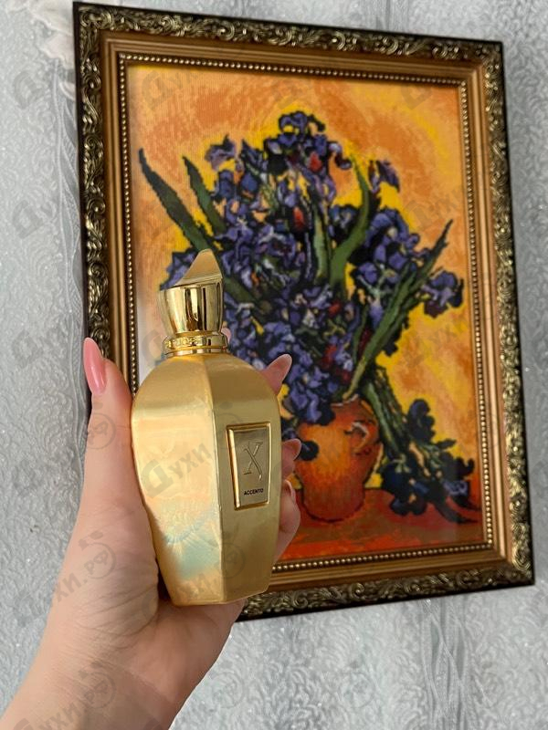 Парфюм Xerjoff Accento Overdose Парфюмерия Accento Overdose от Xerjoff