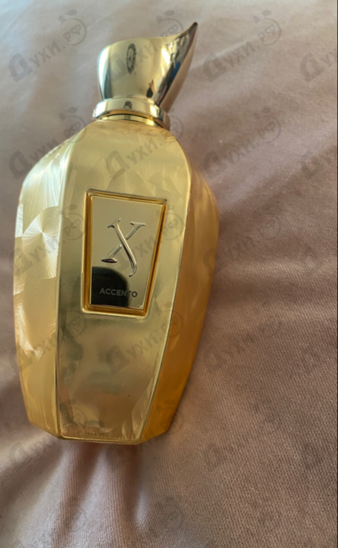 Купить Accento Overdose от Xerjoff Парфюмерия Xerjoff Accento Overdose