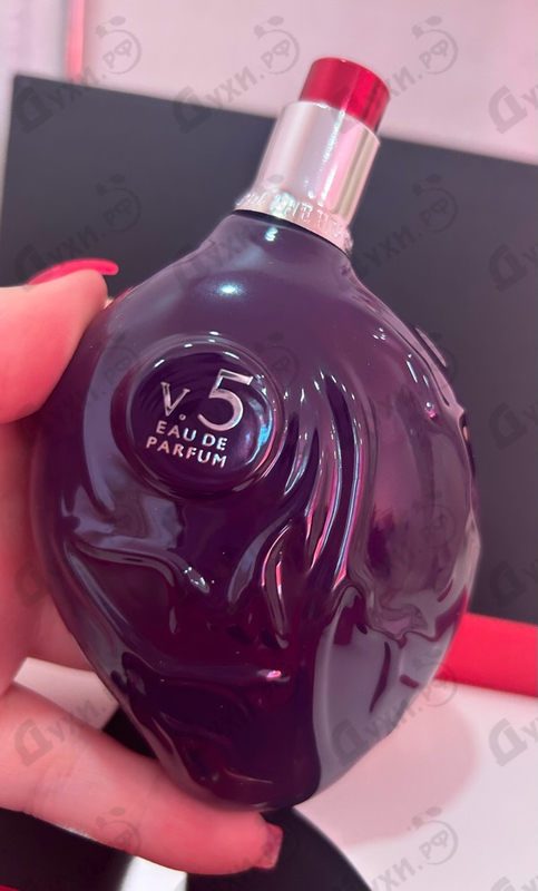 Купить Map Of The Heart Purple Heart V 5