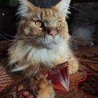 Парфюм Lancome La Nuit Tresor Nude