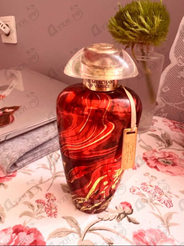Купить Red Potion от The Merchant of Venice