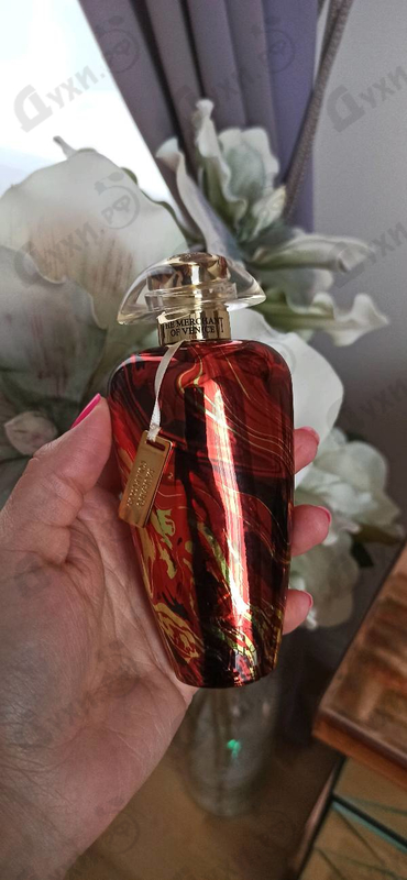 Купить The Merchant of Venice Red Potion