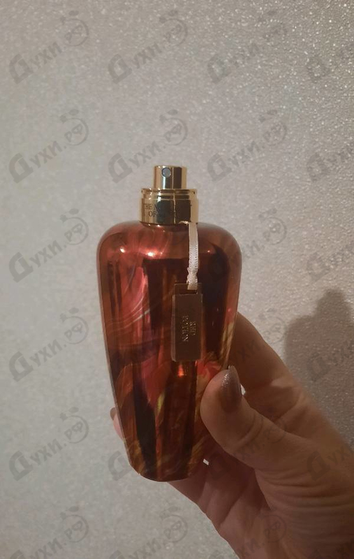 Купить The Merchant of Venice Red Potion