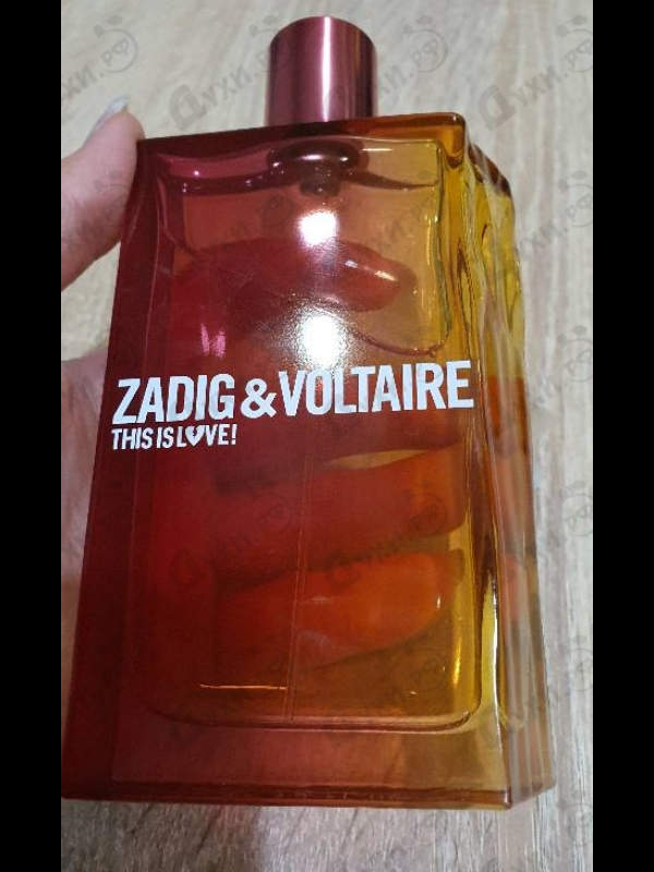 Купить This Is Love от Zadig & Voltaire