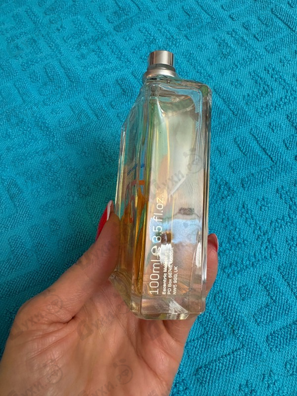 Купить Molecule 05 от Escentric Molecules