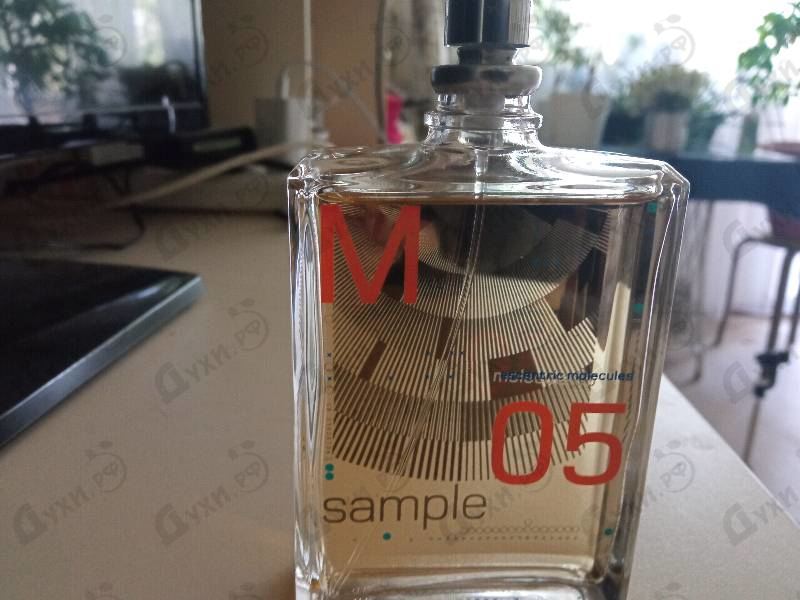 Купить Molecule 05 от Escentric Molecules