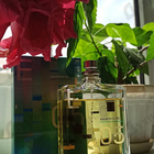 Отзывы Escentric Molecules Escentric 05