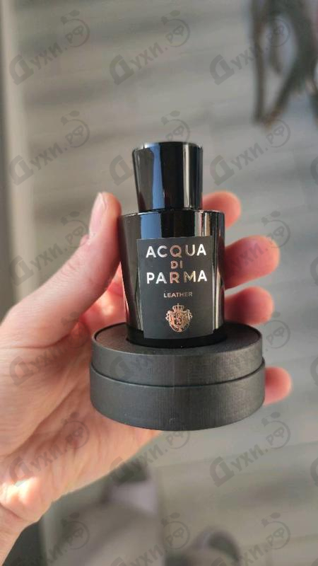 Купить Leather Eau De Parfum от Acqua Di Parma