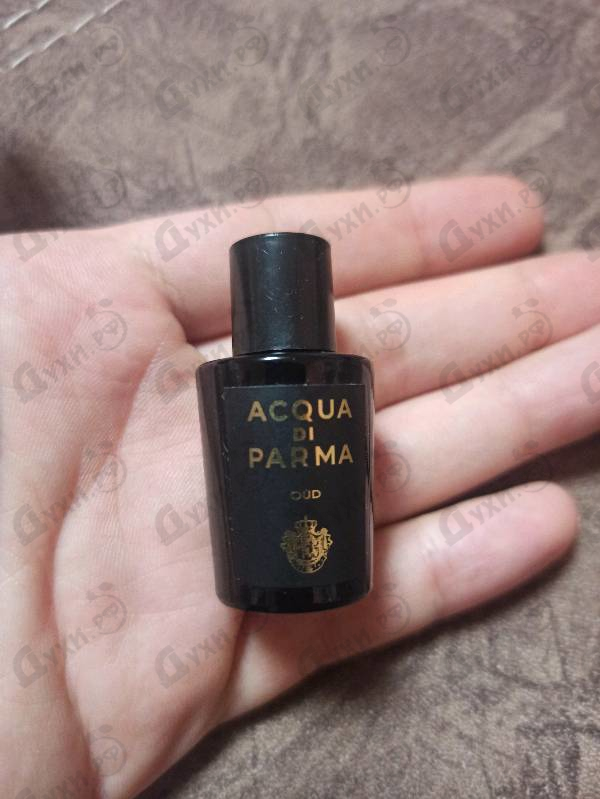 Духи Oud Eau De Parfum от Acqua Di Parma