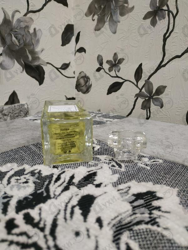 Купить My Gentleman от Stephanie De Bruijn