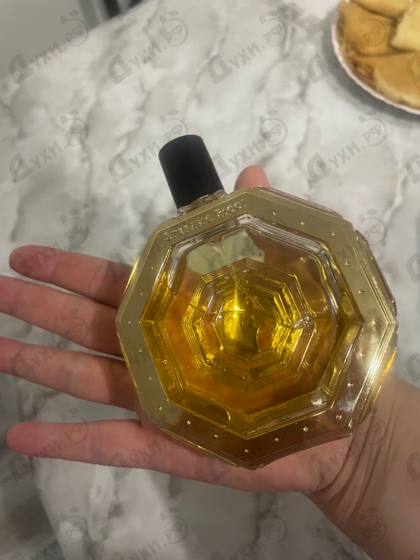 Купить Royal Eagle Gold от Stefano Ricci
