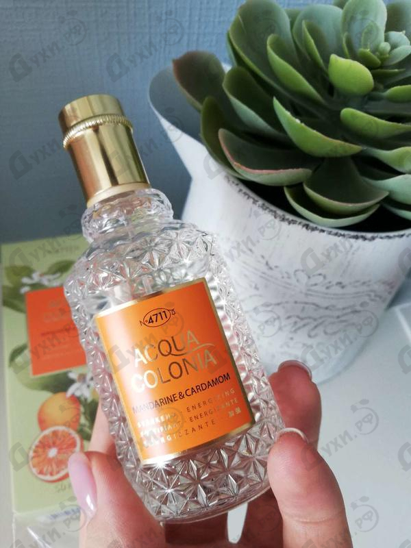 Отзывы 4711 Acqua Colonia Mandarine & Cardamom