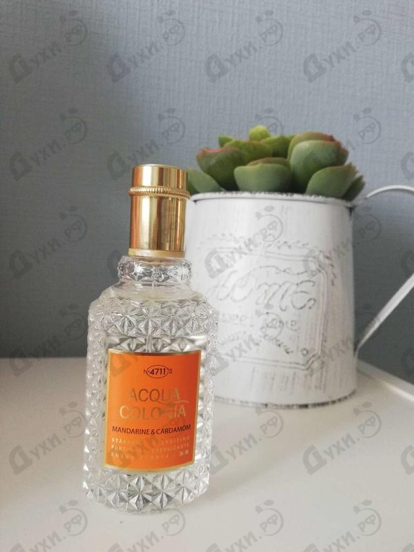 Купить Acqua Colonia Mandarine & Cardamom от 4711