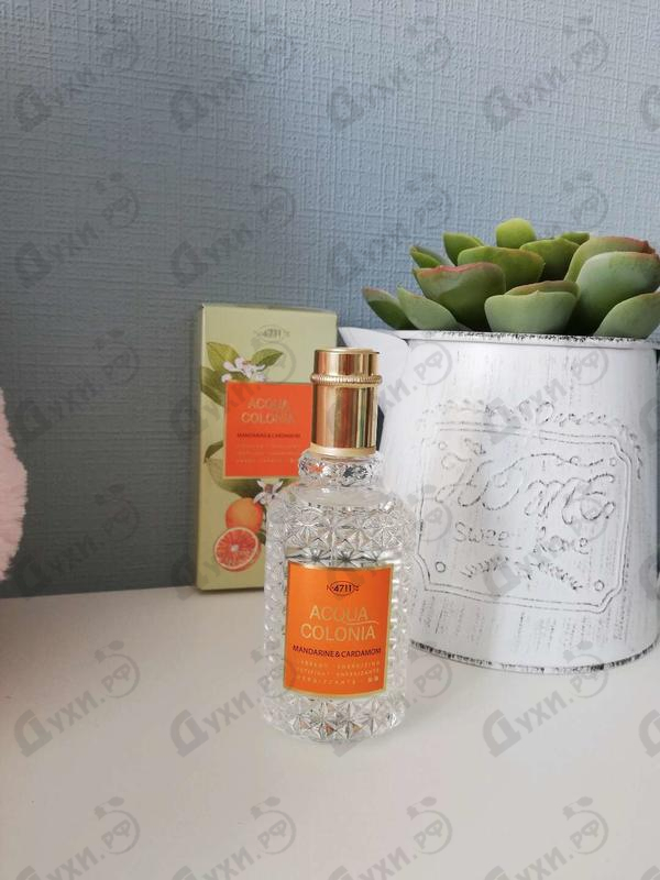Духи Acqua Colonia Mandarine & Cardamom от 4711 Парфюмерия 4711 Acqua Colonia Mandarine & Cardamom