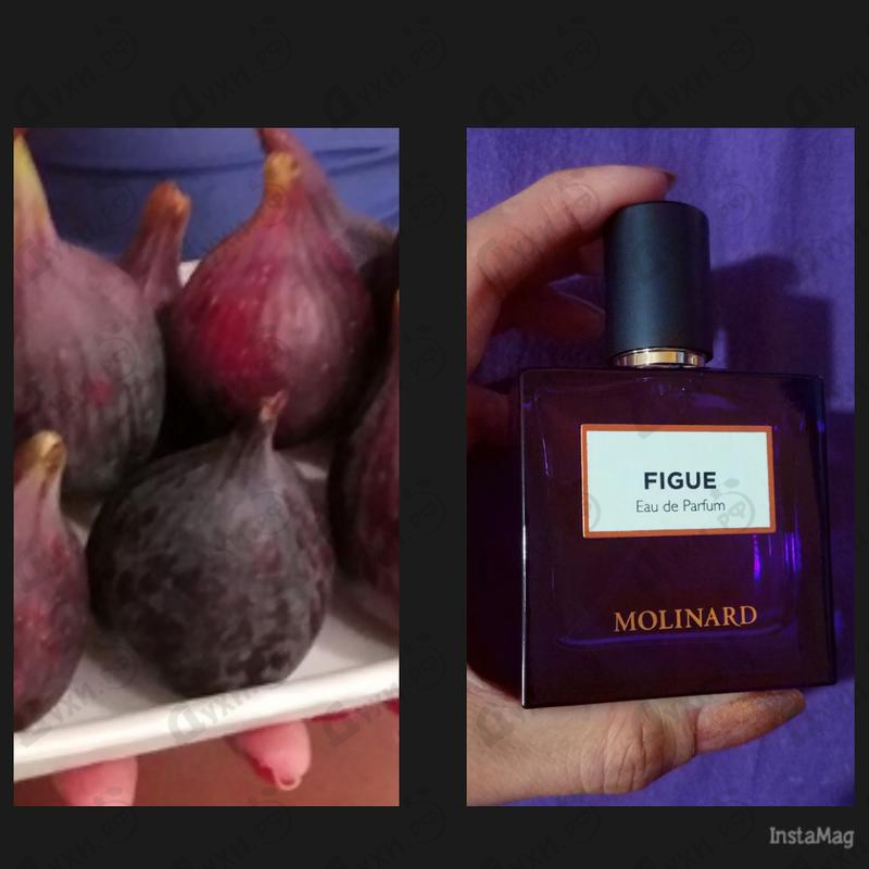 Отзывы Molinard Figue Eau De Parfum