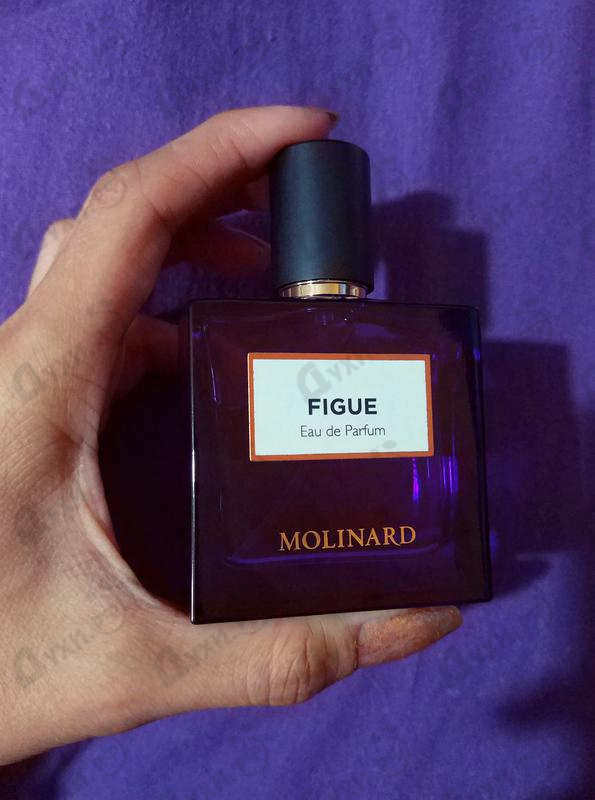 Духи Figue Eau De Parfum от Molinard