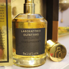 Отзыв Laboratorio Olfattivo Baliflora
