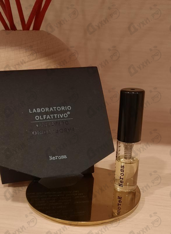 Парфюмерия Laboratorio Olfattivo Nerosa Купить Nerosa от Laboratorio Olfattivo