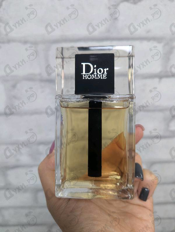 Купить Homme (2020) от Christian Dior