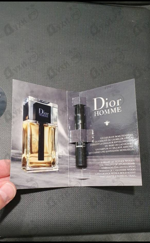 Купить Homme (2020) от Christian Dior