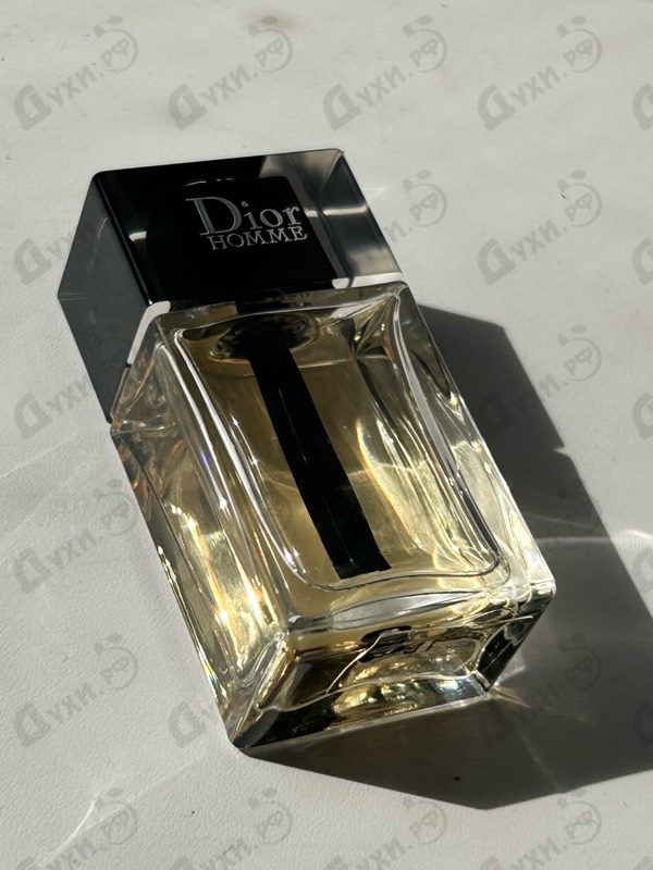 Отзыв Christian Dior Homme (2020)