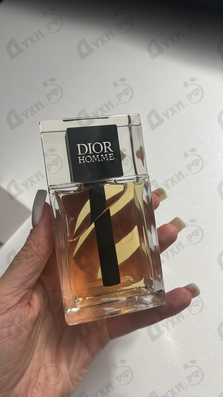 Купить Christian Dior Homme (2020)