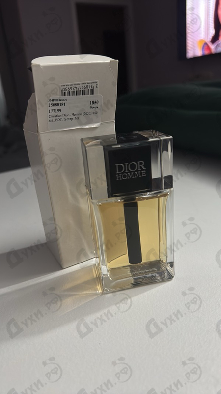 Купить Christian Dior Homme (2020)
