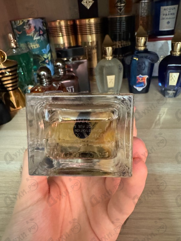 Духи Homme (2020) от Christian Dior